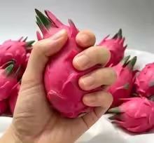 手作りのピタヤ型積み木スクイーズ玩具、カリカリ音がするストレ - Building Blocks のレビューと価格